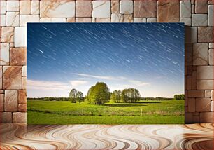 Πίνακας, Starry Night Over the Meadow Έναστρη Νύχτα Πάνω από το Λιβάδι