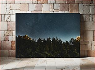 Πίνακας, Starry Night Sky over Forest Έναστρος Νυχτερινός Ουρανός πάνω από το Δάσος