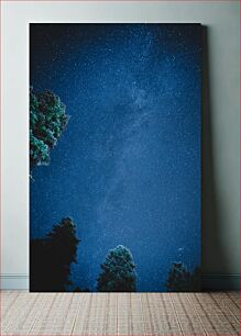 Πίνακας, Starry Night Sky Over Trees Έναστρος νυχτερινός ουρανός πάνω από δέντρα