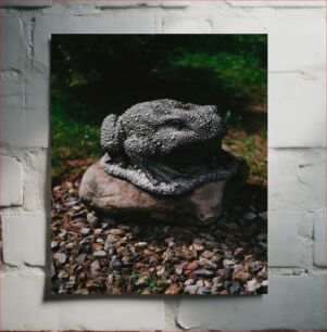 Πίνακας, Stone Frog Sculpture in Garden Γλυπτό Πέτρινου Βάτραχου στον Κήπο