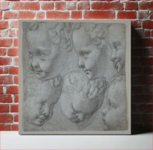 Πίνακας, Studies of the Head of an Infant (after a three-dimensional model) by Poppi (Francesco Morandini)