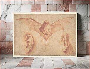 Πίνακας, Studies of Two Ears and of a Bat. Below, the motto: FULGET SEMPER VIRTUS by Jusepe de Ribera