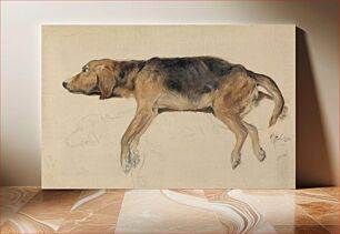 Πίνακας, Study of a Dog Lying Down