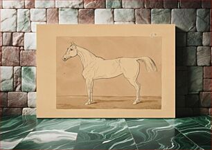 Πίνακας, Study of a horse ii. by Friedrich Carl von Scheidlin