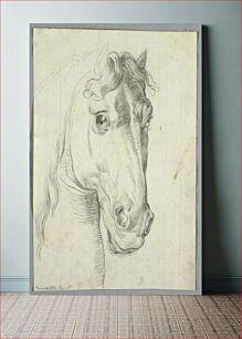 Πίνακας, Study of a Horse