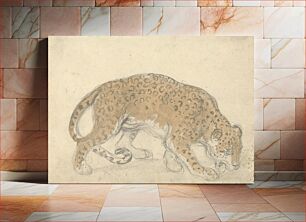 Πίνακας, Study of a leopard