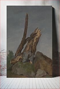 Πίνακας, Study of Rocks and Branches