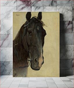 Πίνακας, Study of the head of a negro horse by Jozef Hanula