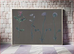 Πίνακας, Study of Three Flowers