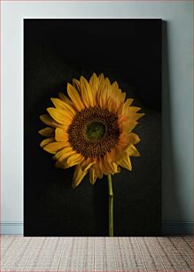 Πίνακας, Sunflower against Dark Background Ηλίανθος σε σκούρο φόντο