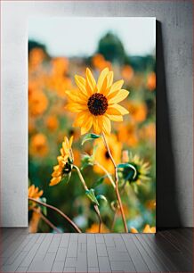 Πίνακας, Sunflower in Bloom Sunflower in Bloom