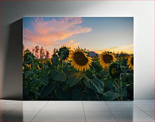 Πίνακας, Sunflowers at Sunset Ηλιοτρόπια στο ηλιοβασίλεμα