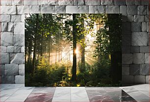 Πίνακας, Sunlight Through Forest Το φως του ήλιου μέσα από το δάσος
