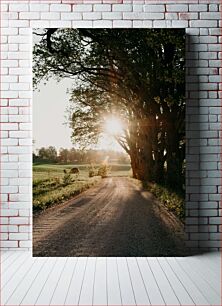 Πίνακας, Sunlit Country Road Ηλιόλουστος επαρχιακός δρόμος