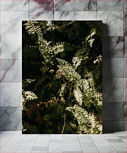 Πίνακας, Sunlit Ferns Ηλιόλουστες φτέρες