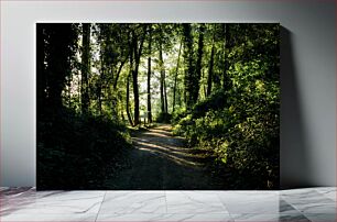 Πίνακας, Sunlit Forest Path Ηλιόλουστο Δασικό Μονοπάτι