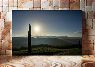 Πίνακας, Sunrise Over Vineyards Ανατολή ηλίου πάνω από αμπελώνες