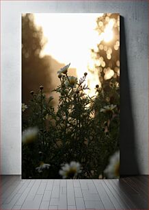 Πίνακας, Sunset in the Garden Ηλιοβασίλεμα στον κήπο