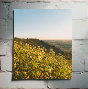 Πίνακας, Sunset Over Flowered Hill Ηλιοβασίλεμα πάνω από τον ανθισμένο λόφο