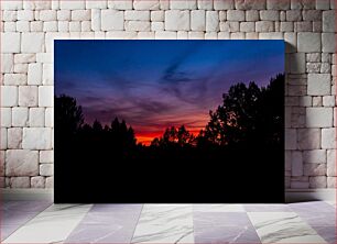 Πίνακας, Sunset Over Silhouetted Trees Ηλιοβασίλεμα πάνω από σκιαγραφημένα δέντρα