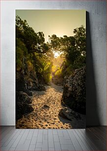 Πίνακας, Sunset Path Through Trees Sunset Path Through Trees