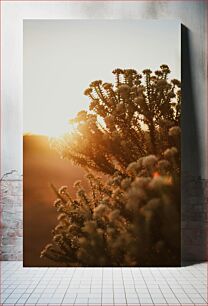 Πίνακας, Sunset Through Foliage Ηλιοβασίλεμα μέσα από το φύλλωμα