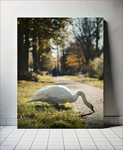 Πίνακας, Swan in a Park Κύκνος σε ένα πάρκο