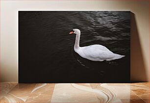 Πίνακας, Swan on a Lake Κύκνος σε μια λίμνη