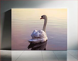 Πίνακας, Swan on a Serene Lake Κύκνος σε μια γαλήνια λίμνη