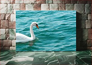 Πίνακας, Swan on Water Κύκνος στο νερό