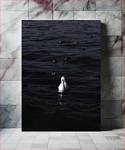 Πίνακας, Swans and Ducks on Dark Water Κύκνοι και πάπιες στο σκοτεινό νερό