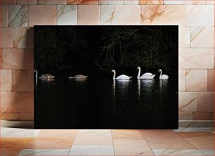 Πίνακας, Swans in a Dark Pond Κύκνοι σε μια σκοτεινή λίμνη