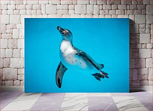 Πίνακας, Swimming Penguin in Blue Water Κολυμπώντας Πιγκουίνος σε Γαλάζια Νερά