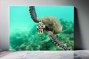 Πίνακας, Swimming Sea Turtle Κολύμβηση Θαλάσσια Χελώνα