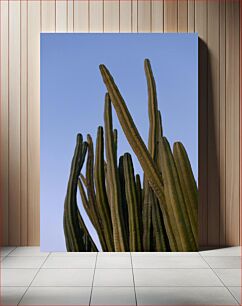 Πίνακας, Tall Cacti Against Clear Blue Sky Ψηλοί κάκτοι ενάντια στον καθαρό μπλε ουρανό