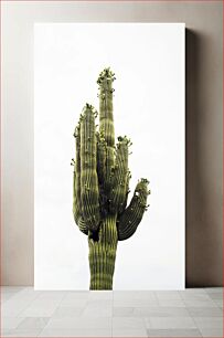 Πίνακας, Tall Cactus Ψηλός Κάκτος