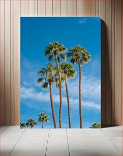 Πίνακας, Tall Palm Trees Against Blue Sky Ψηλοί φοίνικες ενάντια στο γαλάζιο του ουρανού