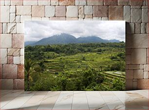 Πίνακας, Terraced Fields with Mountain Backdrop Χωράφια με πεζούλια με φόντο το βουνό