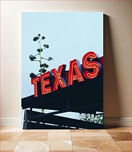 Πίνακας, Texas Neon Sign Τέξας νέον επιγραφή