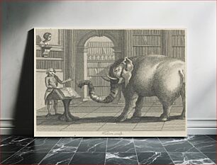 Πίνακας, The Elephant and the Bookseller