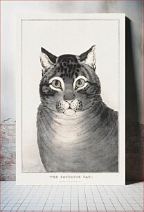 Πίνακας, The Favorite Cat (1838–48) Lithographed by Nathaniel Currier