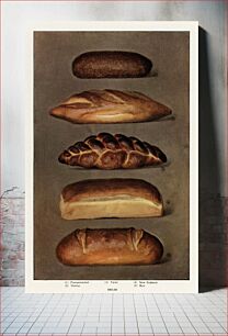 Πίνακας, The Grocer's Encyclopedia, (1911), a vintage collection of various types of baked bread loaves