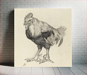 Πίνακας, The Old Cock by Félix Bracquemond (1833–1914)