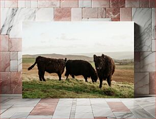 Πίνακας, Three Black Cows in a Field Τρεις μαύρες αγελάδες σε ένα χωράφι