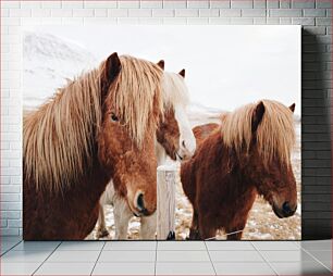 Πίνακας, Three Horses in Winter Τρία άλογα το χειμώνα