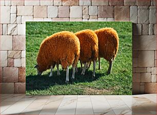 Πίνακας, Three Orange Sheep Grazing Τρία πορτοκαλιά πρόβατα που βόσκουν