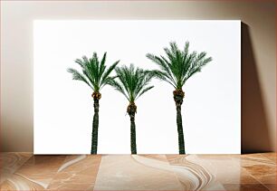 Πίνακας, Three Palm Trees Against Clear Sky Τρεις φοίνικες ενάντια στον καθαρό ουρανό