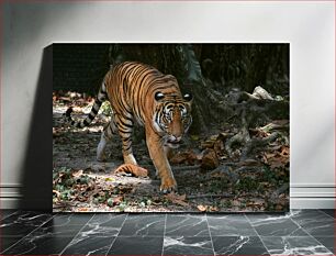 Πίνακας, Tiger in the Jungle Τίγρη στη ζούγκλα