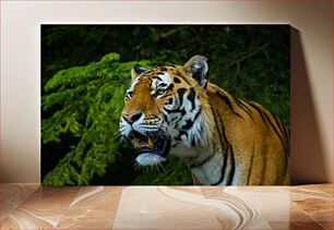 Πίνακας, Tiger in the Wilderness Τίγρης στην ερημιά