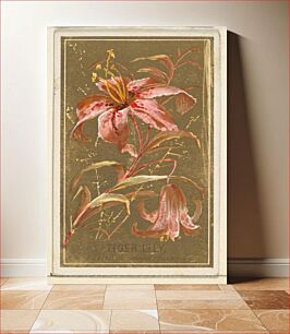 Πίνακας, Tiger Lily (Lilium superbum), from the Flowers series for Old Judge Cigarettes issued by Goodwin & Company